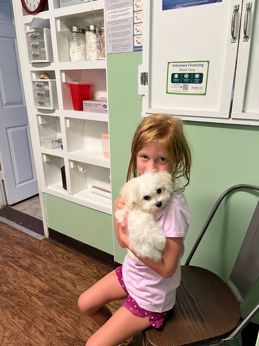 Animal Hospital of Eureka Springs