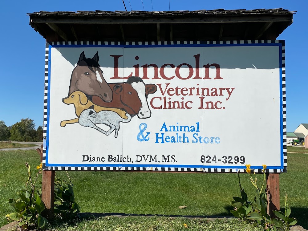 Lincoln Animal hospital