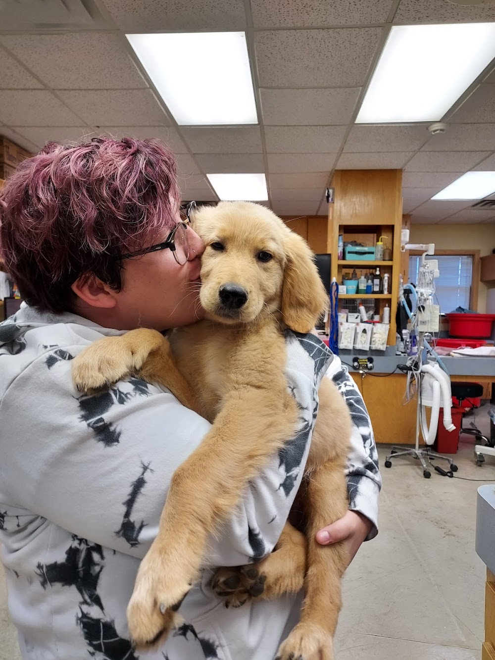 New Hope Animal Hospital